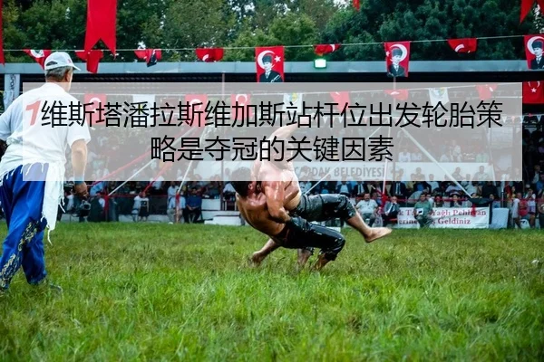 wei-si-ta-pan-la-si-wei-jia-si-zhan-gan-wei-chu-fa-lun-tai-ce-lve-shi-duo-guan-de-guan-jian-yin-su-2-585.jpg