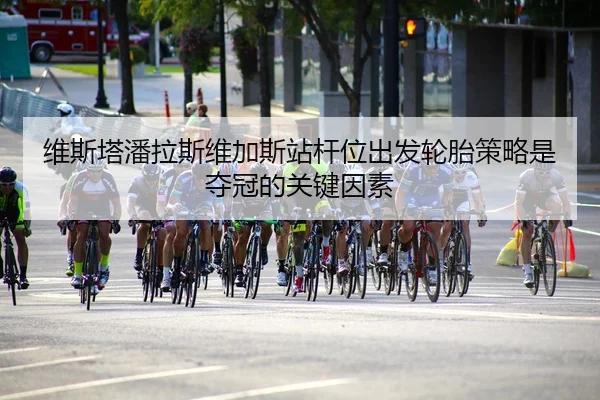 维斯塔潘拉斯维加斯站杆位出发轮胎策略是夺冠的关键因素